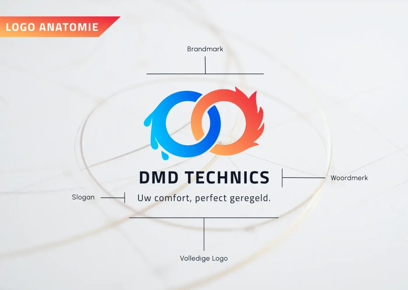 Logo anatomy